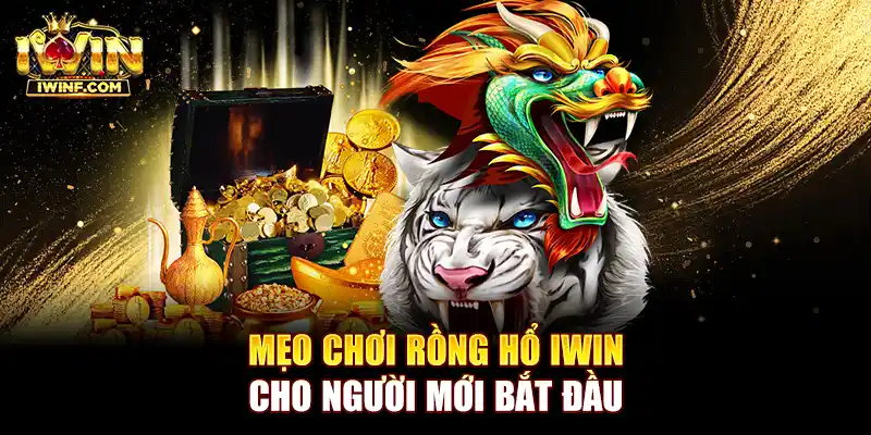 Mẹo chơi Rồng hổ IWIN cho người mới bắt đầu