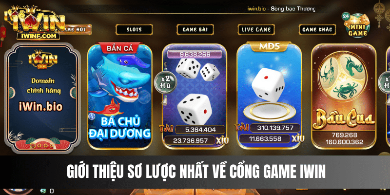 Giới thiệu sơ lược nhất về cổng game IWIN