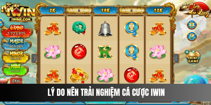 Lý do nên trải nghiệm cá cược IWIN